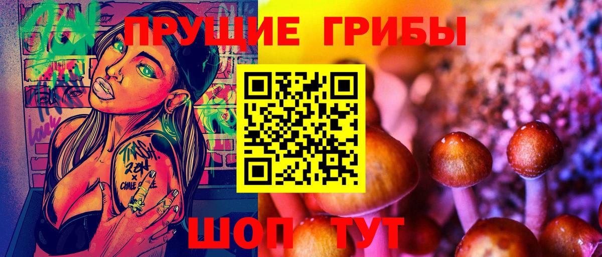 Междуреченск  Галлюциногенные грибы Psilocybine cubensis  Вход с VPN 